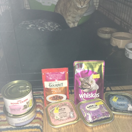 henderson with food from pet company